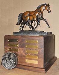 Texas Super Series 3&4 Yr Old Perfromance Hunter Classic