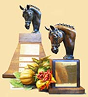HDS Autumn Classic Trophy
