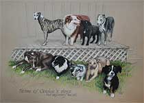 Some of Cookie's Dogs