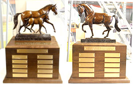 Dressage At Devon Trophies
