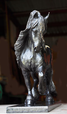 Freisian Stallion