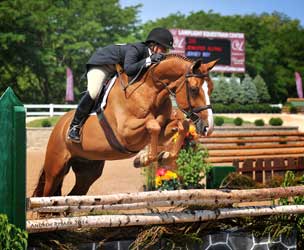 Jersey Boy Derby Winner