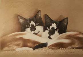 Two Cats