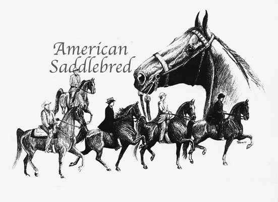 saddlebred horse coloring pages - photo #26