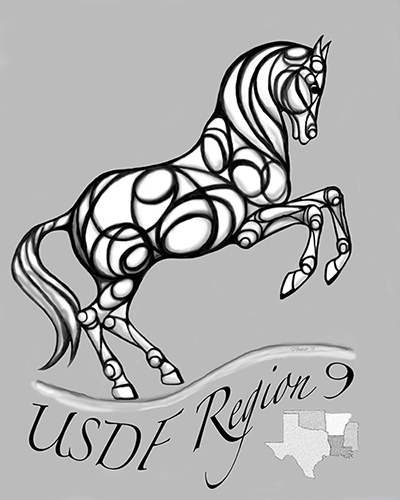 2015 US Region 9 T-Shirt Design