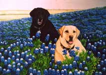 Casey Dogs