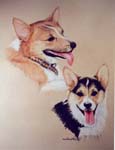 Corgi Mom and Pup
