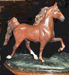 Saddlebred Gelding