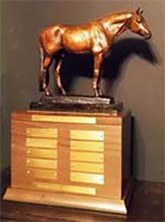 Shine Champion Hunter Stallion