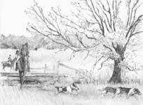 The Hunt