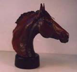 1Chestnut Head