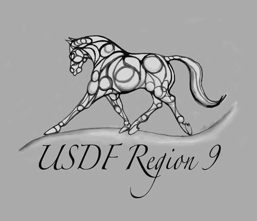 US Region 9 T-Shirt Design
