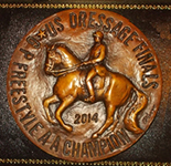 US Dressage Finals