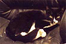 Missy GSEC