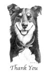 Crosby Dog