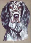 Duke