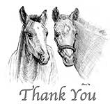 Thank You Foals