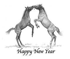 Happy New Years Colts