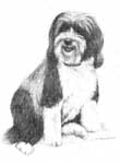 MarthasDog