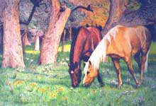 Celaro