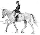 GreyReisling