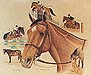 All My Horsesr
