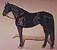 Black Horse