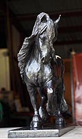 Freisian Stallion
