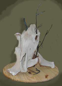 Equine Skull Arrangement