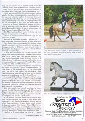 LoneStarHorseReport