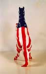 Back Side Stars & Stripes