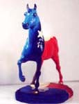 Front Lone Star Pony