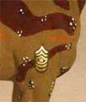 Sergeant Detail