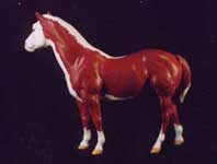 Left Side Cow Pony