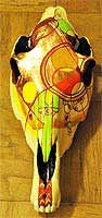 Painted Horse Skull