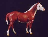 Right Side Cow Pony